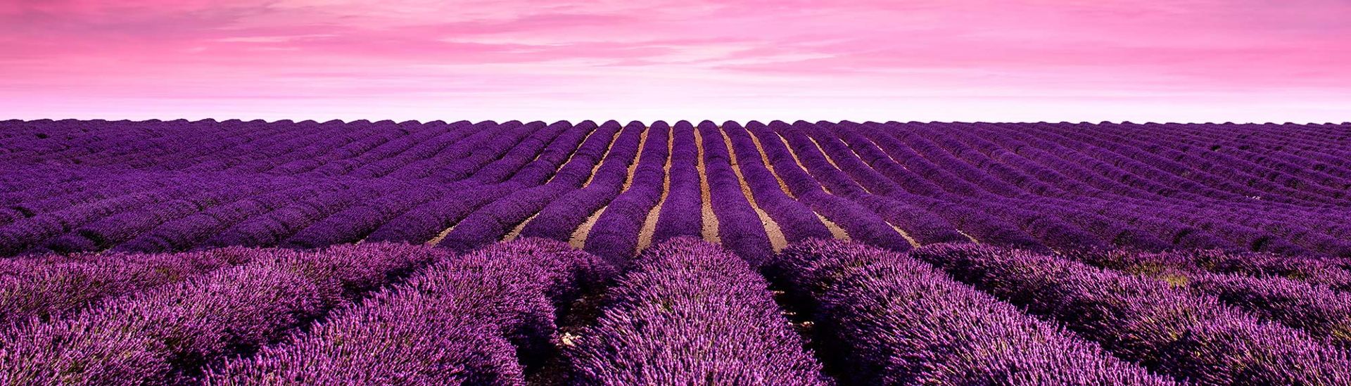 Provence