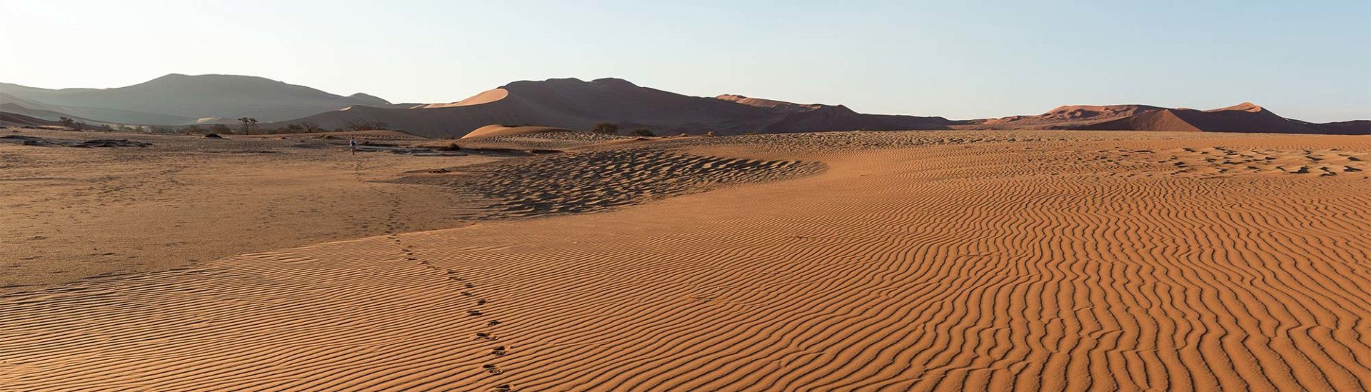 Namib